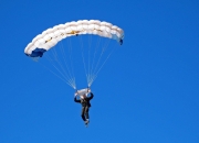 开云官网-欧冠淘汰赛焦点战，鹈鹕血拼猛龙